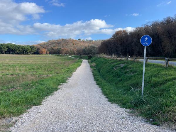 Section de piste cyclable en gravier blanc avec la campagne à gauche et une route asphaltée surélevée à droite. Piste cyclable/piétonne balisée.